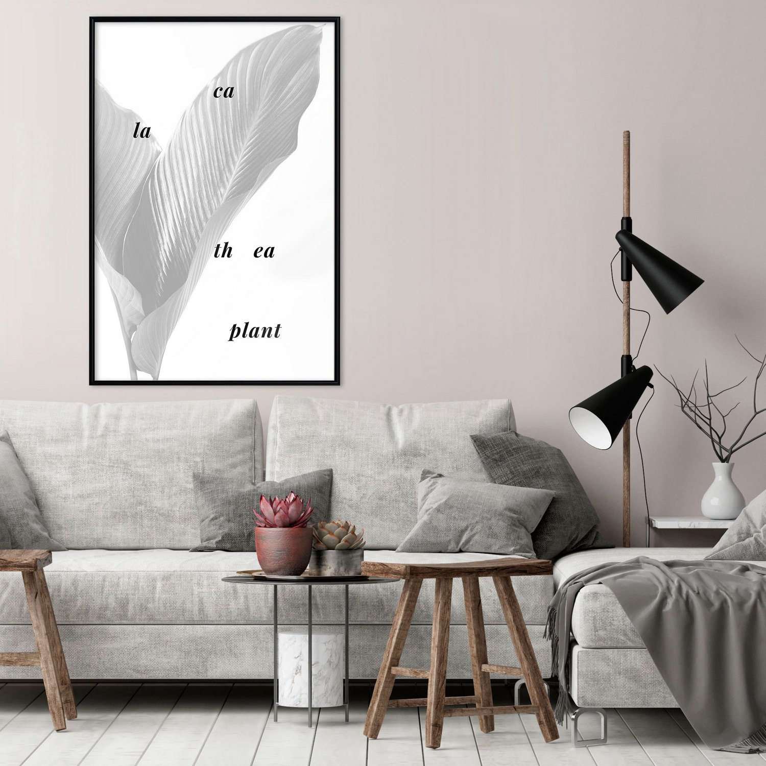 Affisch - Calathea Plant [Poster] 30x45 Svart ram, 30x45 cm