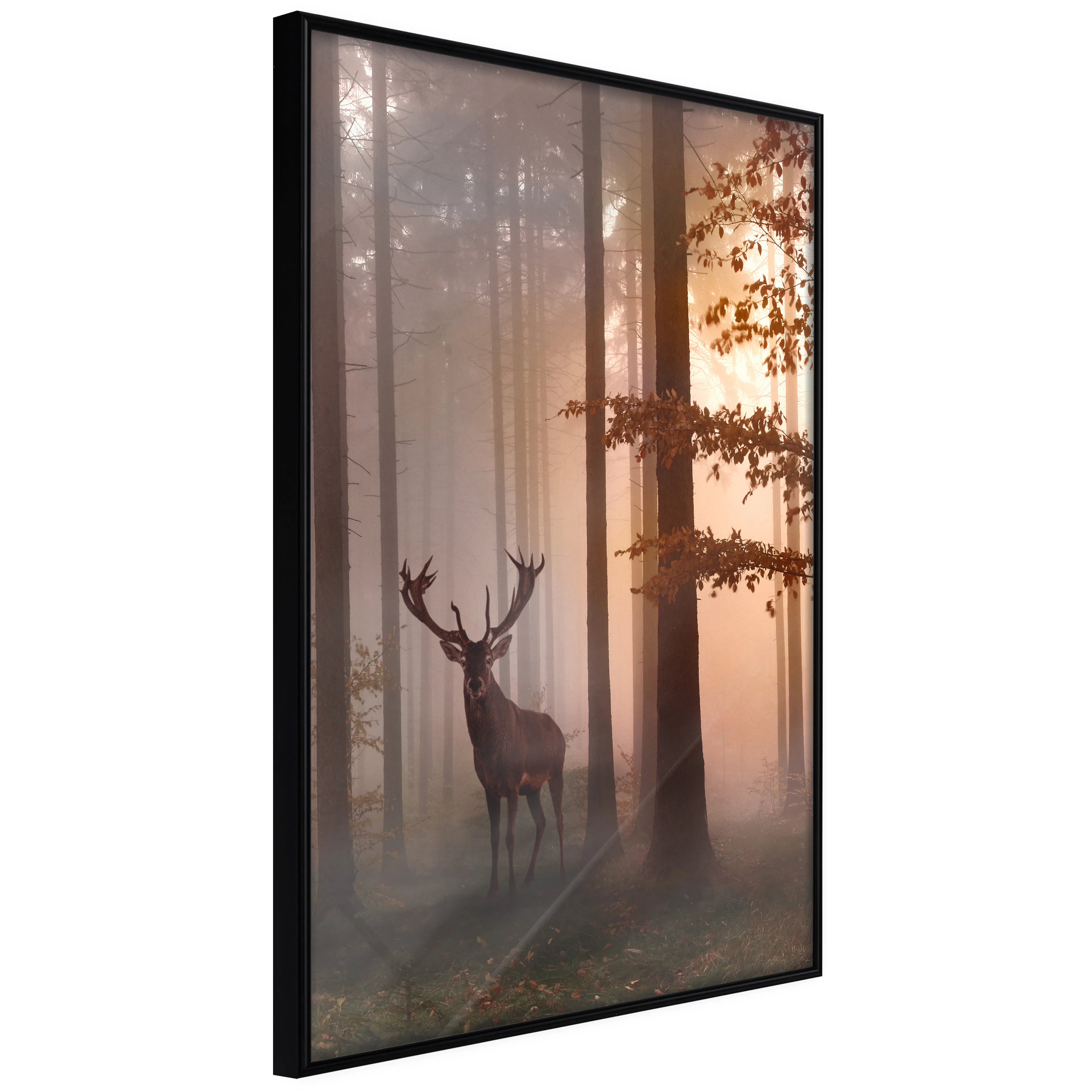 Affisch - Morning [Poster] 20x30 Svart ram, 20x30 cm