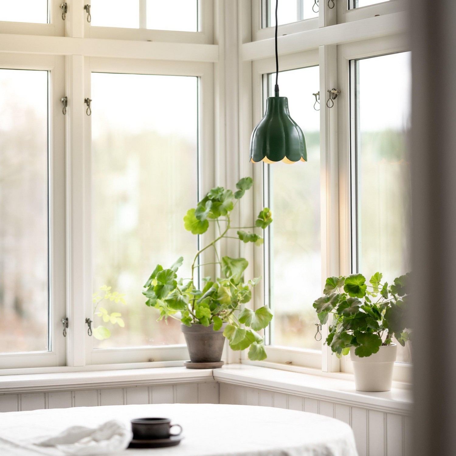 Tak/Fönster PR Home Tulippa