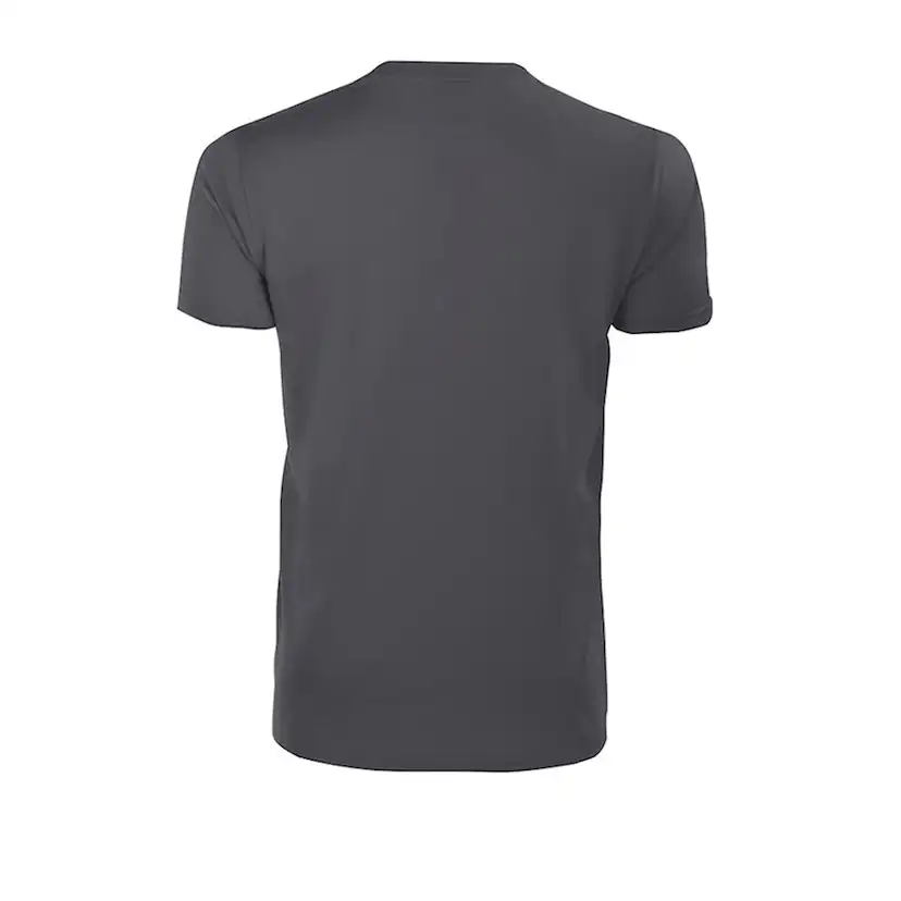 2016 T-shirt Grå L Storlek: L Grå