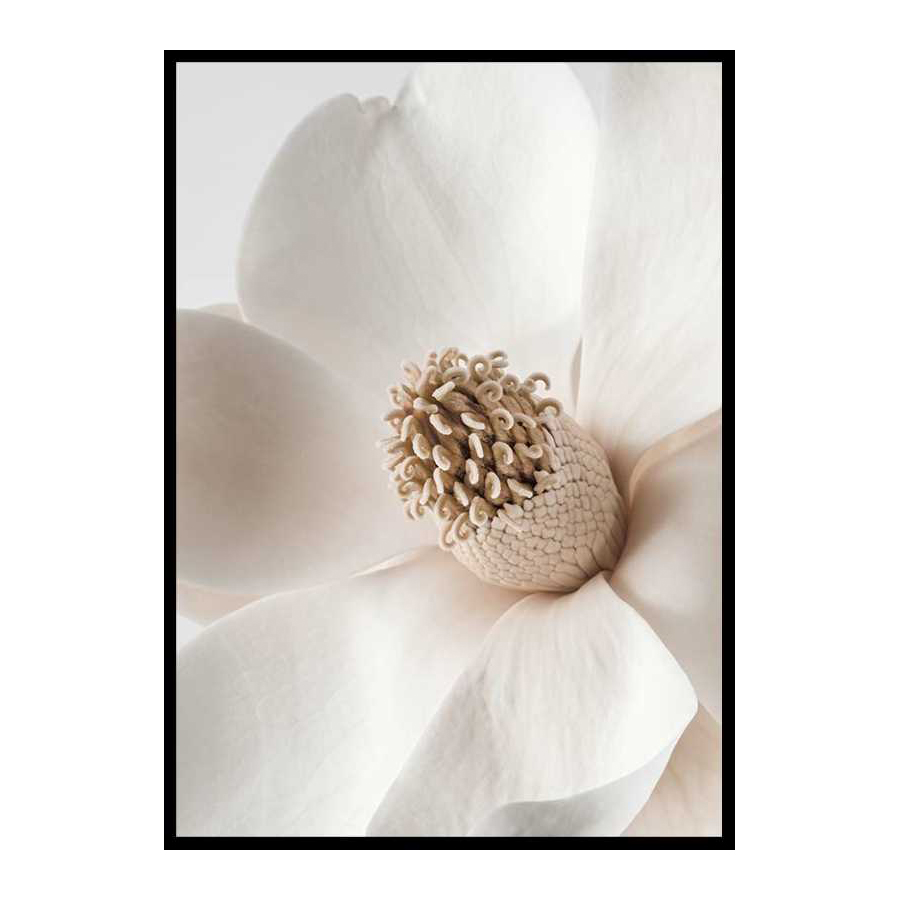Poster Gallerix Beige Magnolia No2