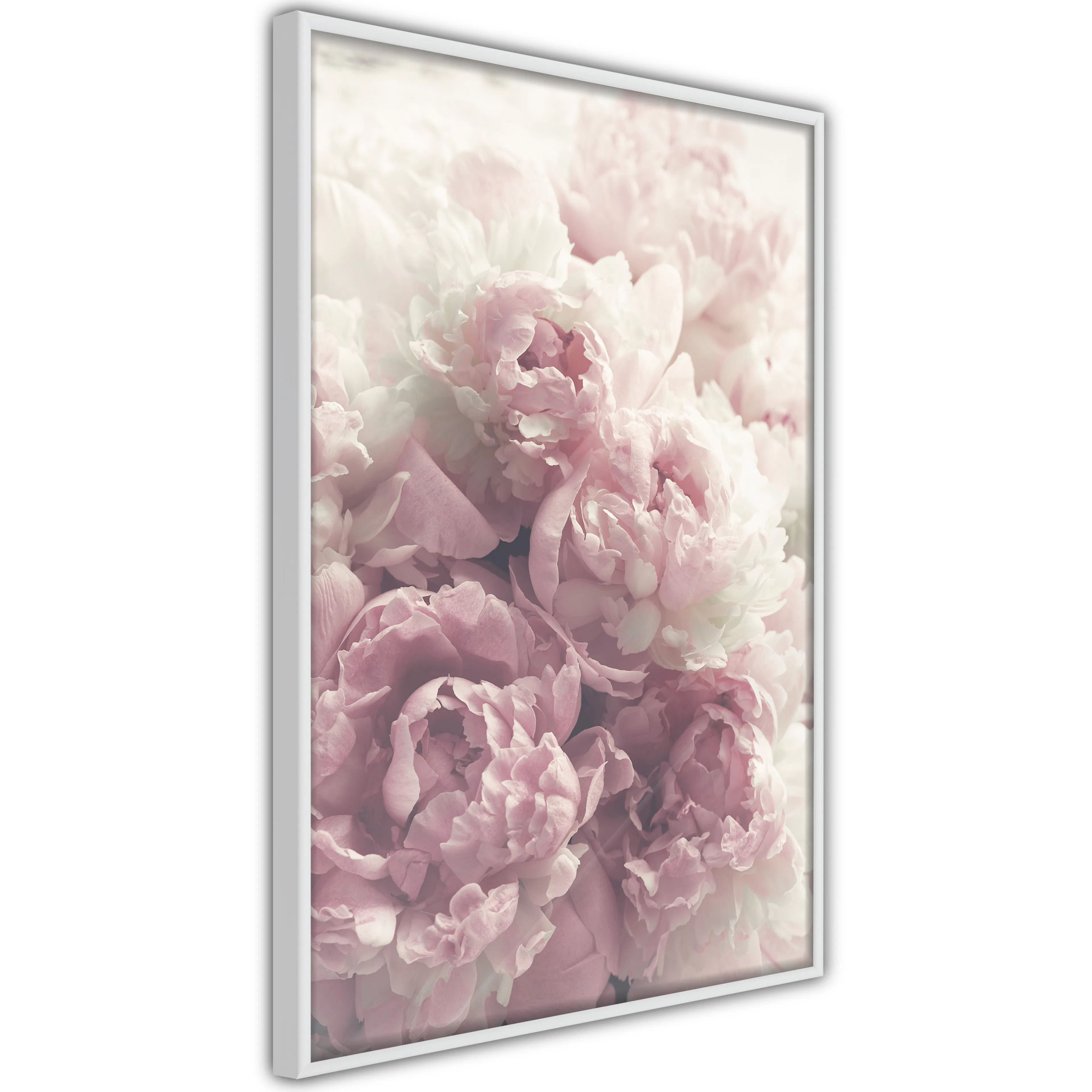Poster Artgeist Affisch Delicate Peonies