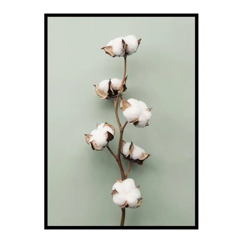 Poster Gallerix Cotton On Green
