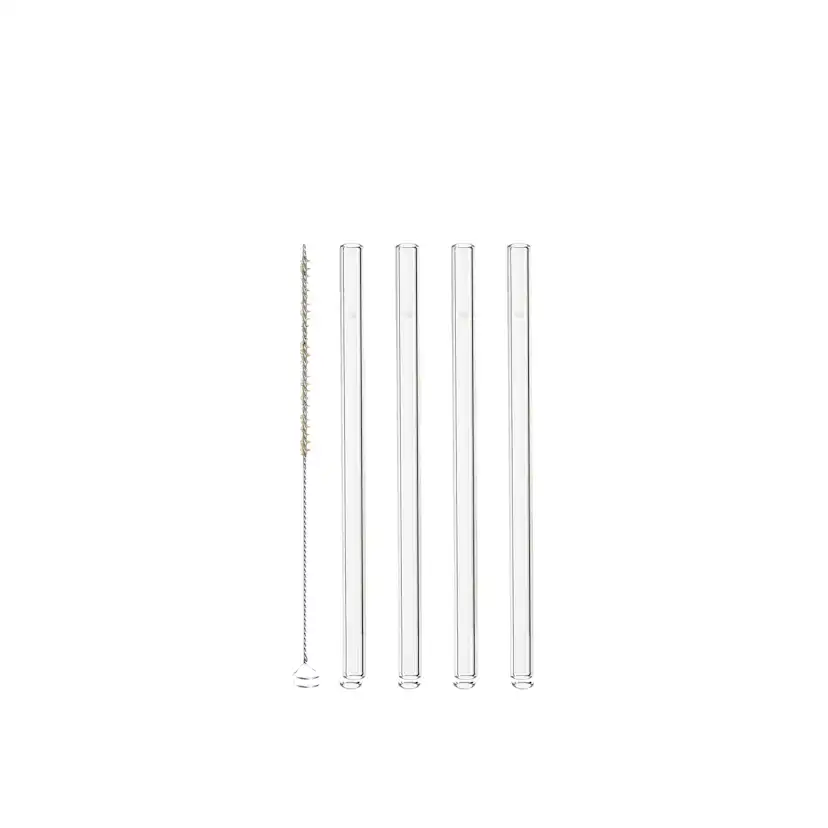 Sugrör Leonardo Glas 4-pack med Borste