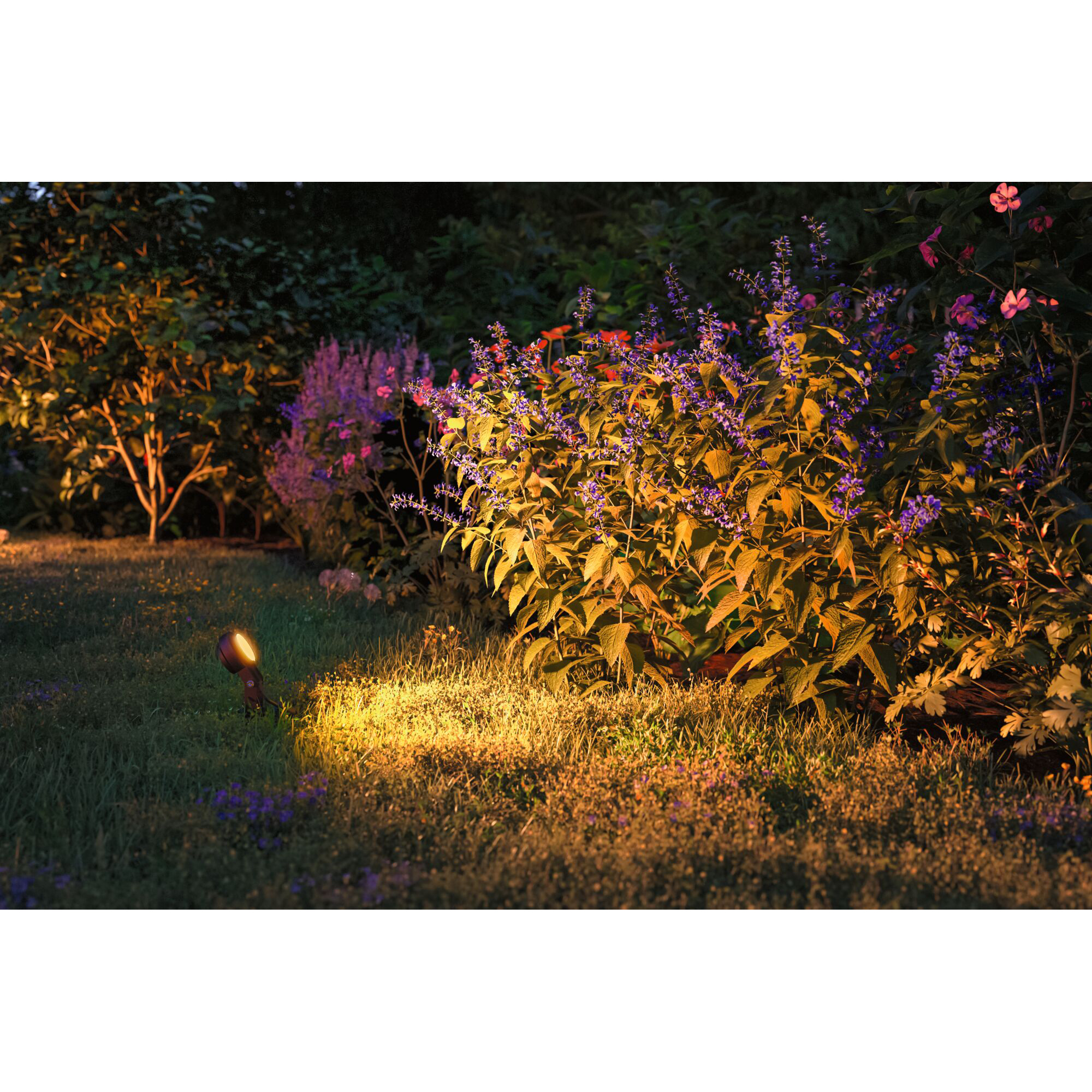 Spotlight Paulmann Sting Plug & Shine LED IP67 24V Ljus: Gold Light (insektsvänlig)