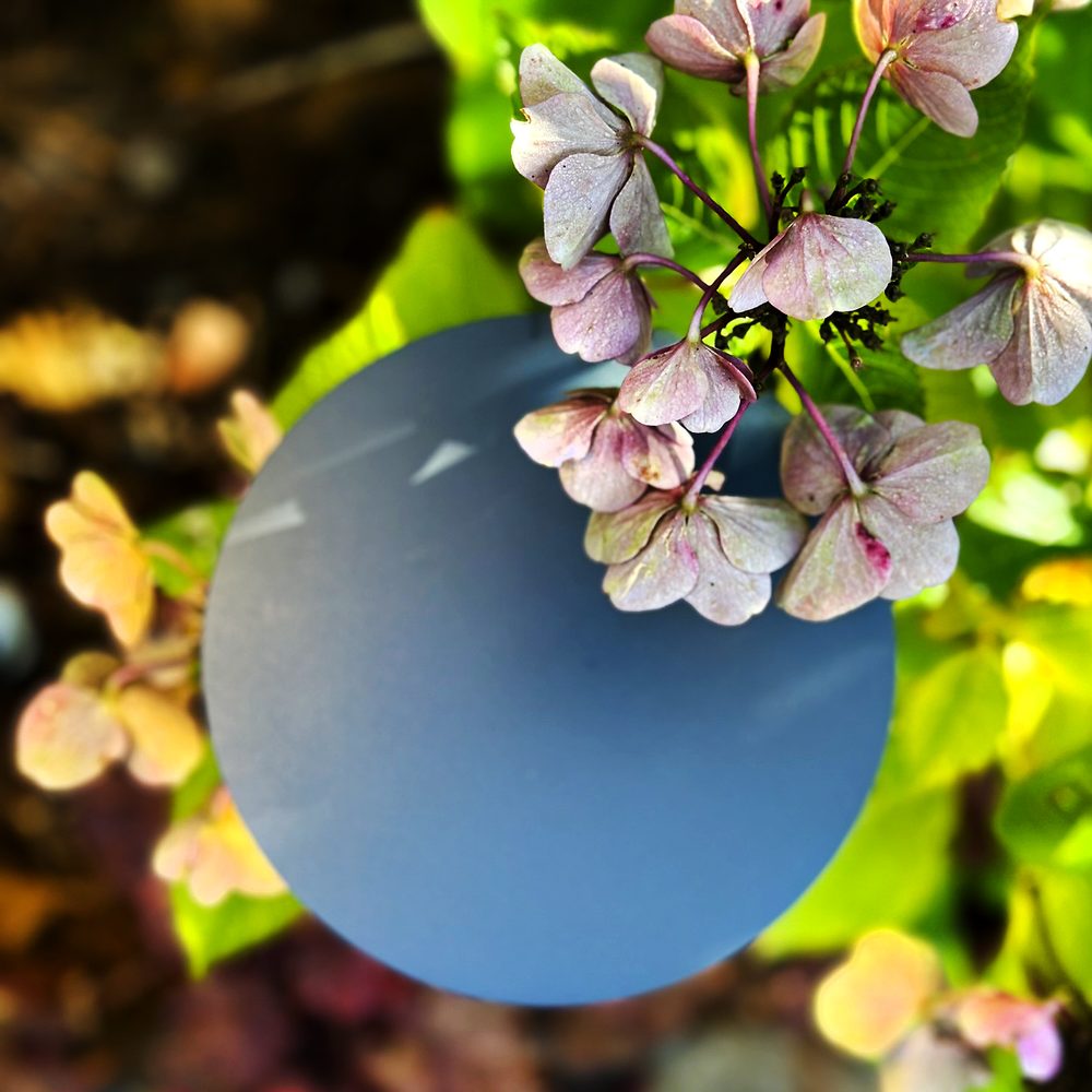 Pollare LightsOn Orbit 65