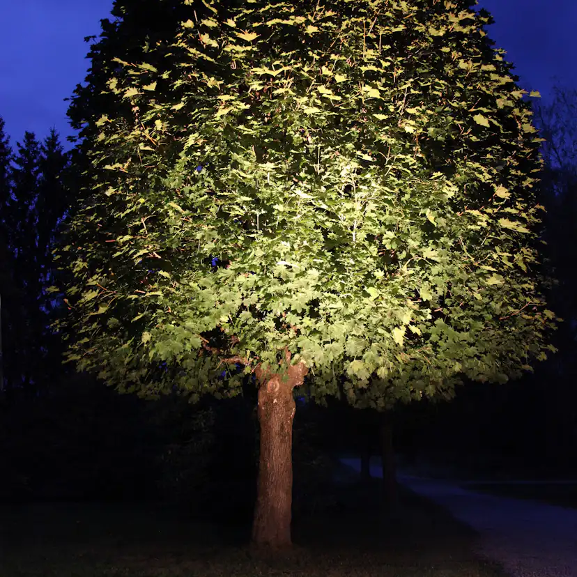LED-lampa Star Trading E27 PAR38 Spotlight Outdoor Silver