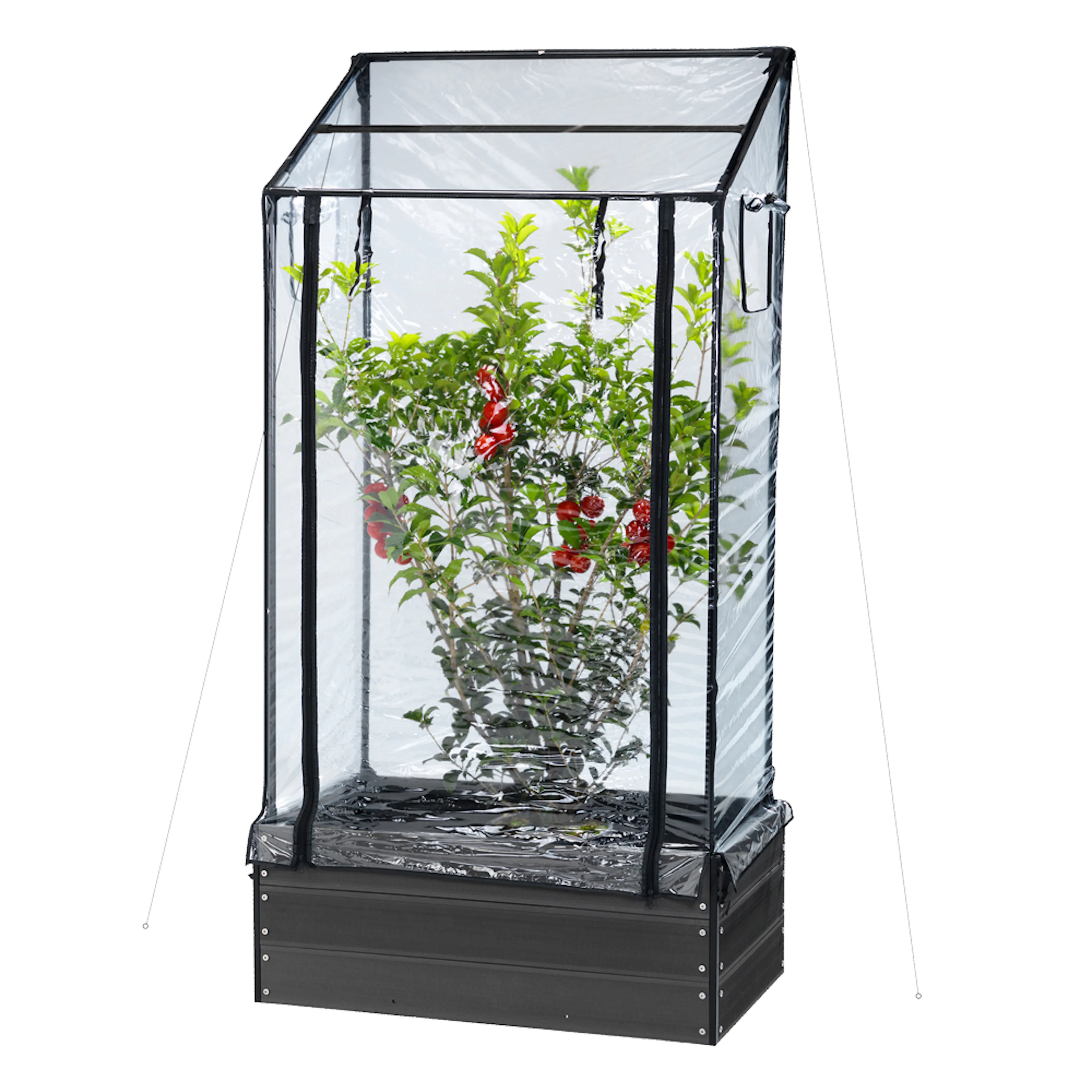 Drivhus Hortus Drivhus till Planteringslåda med Insektnät & Blixtlås 87x47x130/150 cm