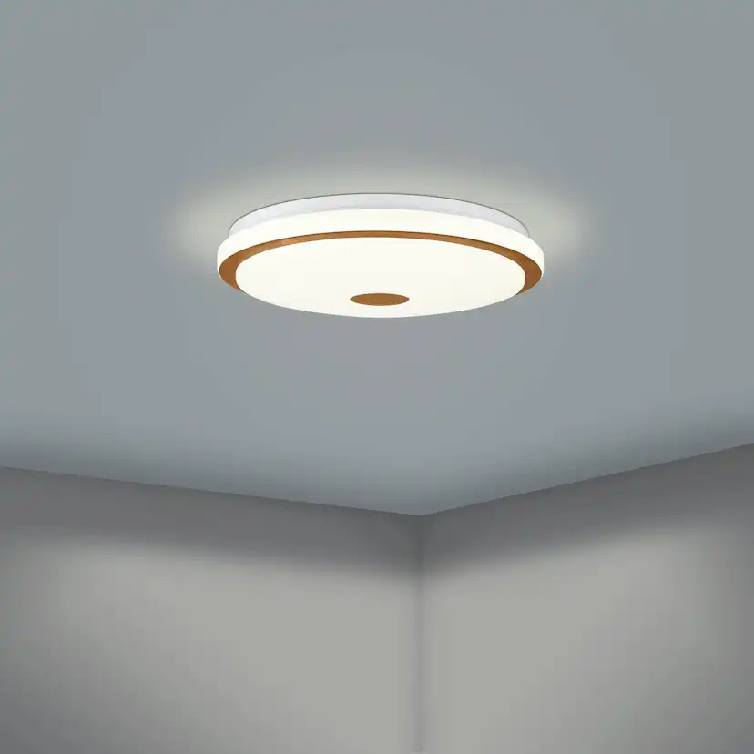 Taklampa Eglo Lanciano 1