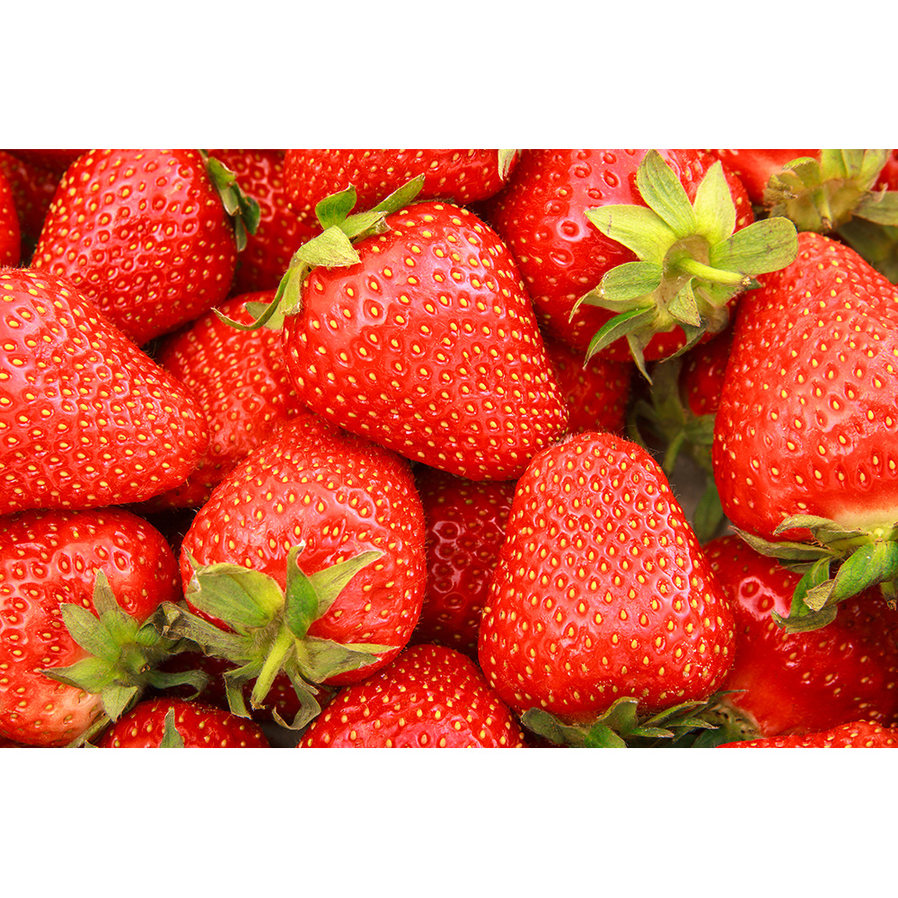 Jordgubbe Omnia Garden Fragaria Ananassa Sonata