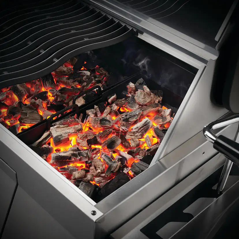Kolgrill Napoleon PRO605