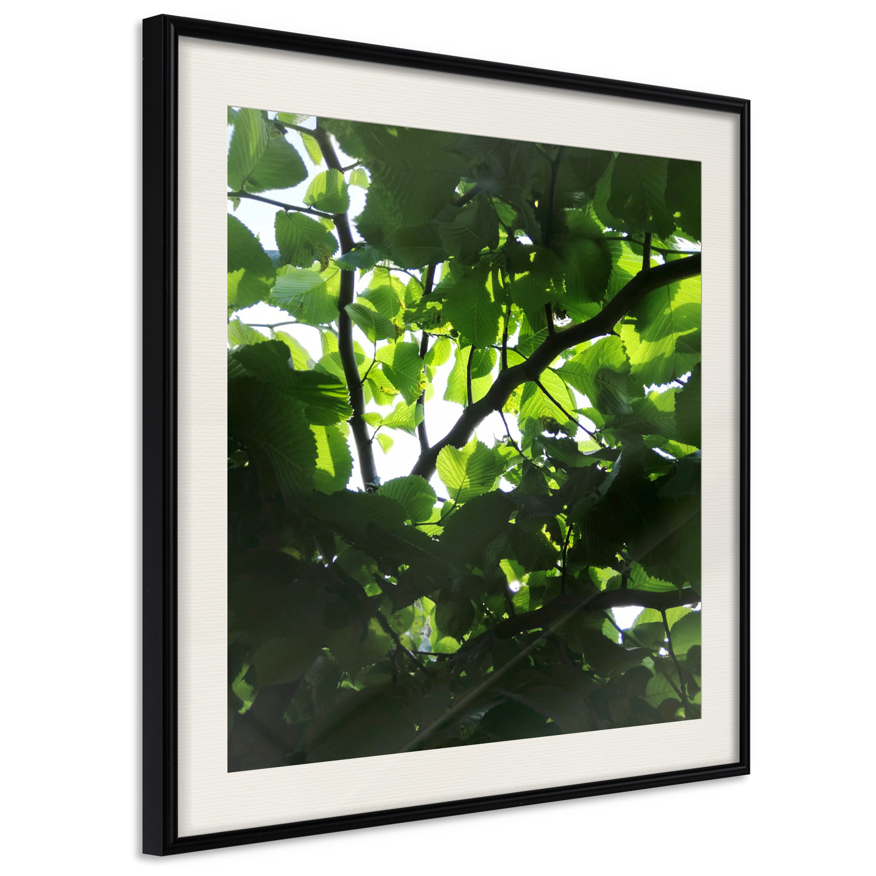 Affisch - Dawn [Poster] 20x20 Svart ram med passepartout, 20x20 cm