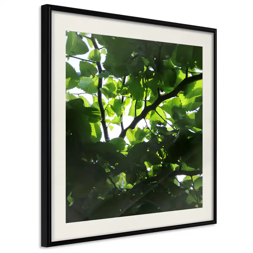 Poster Artgeist Affisch Dawn