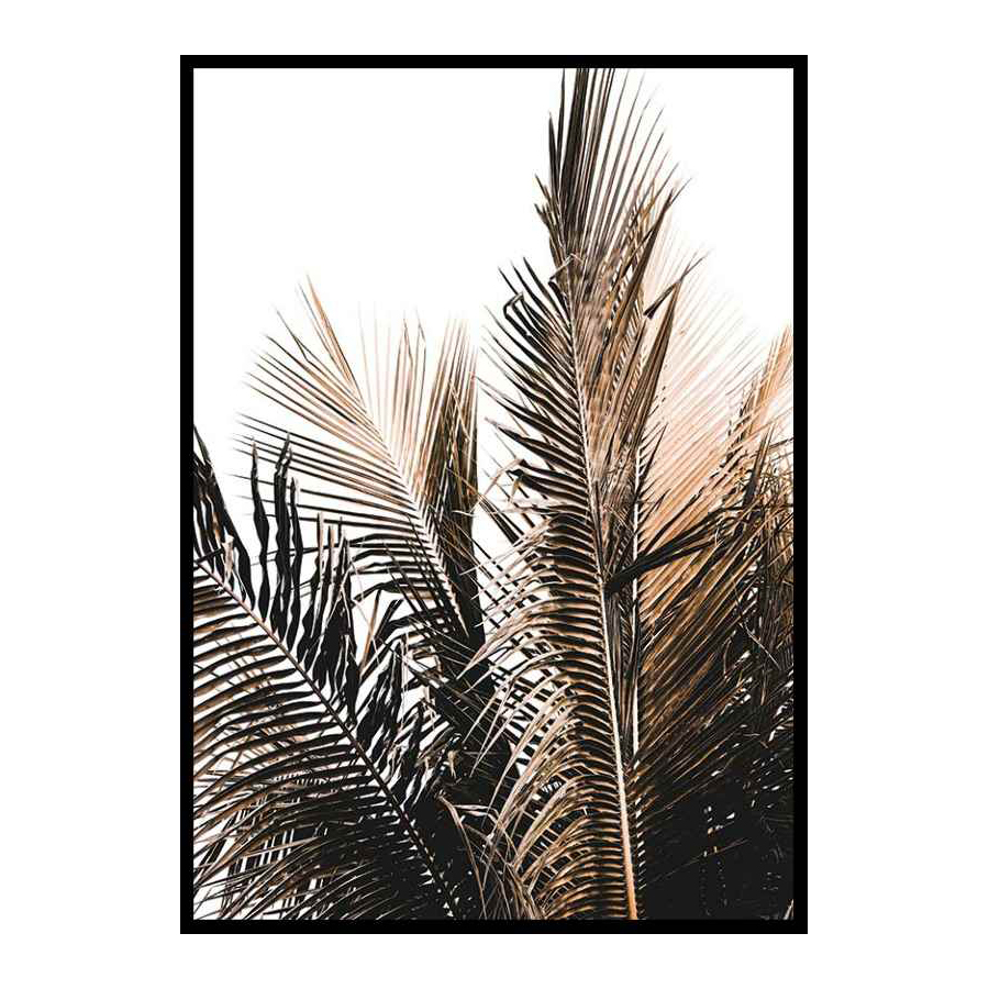 Poster Gallerix Palm Leaves No2