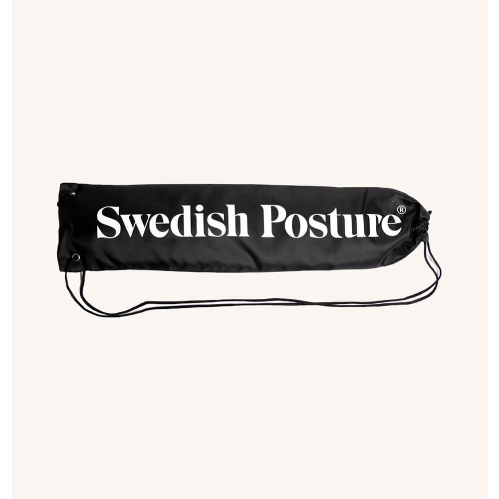 Mini Gym Swedish Posture