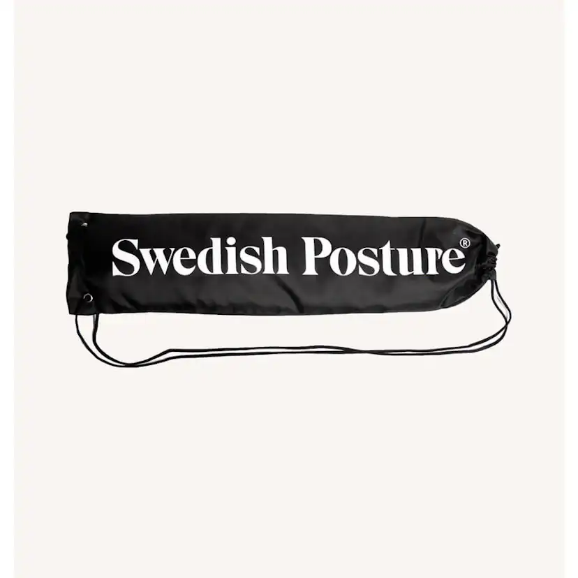 Mini Gym Swedish Posture