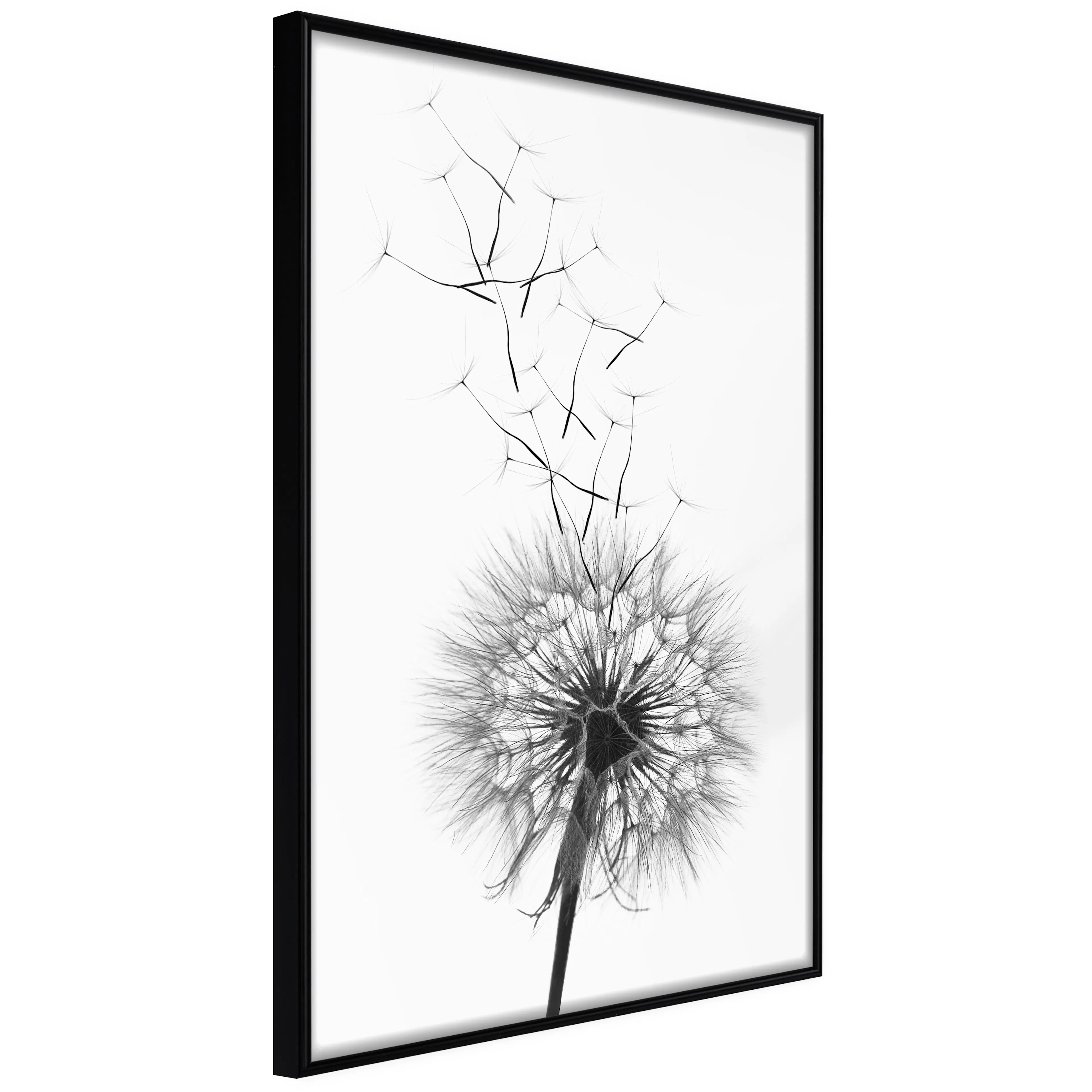 Affisch - Dandelion [Poster] 20x30 Svart ram, 20x30 cm
