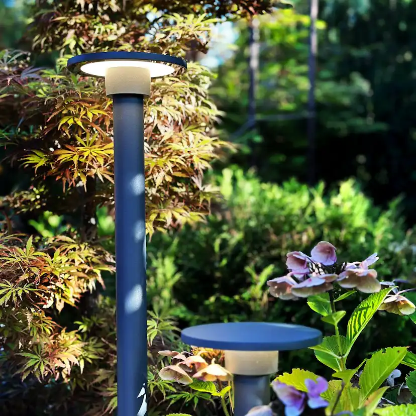 Pollare LightsOn Orbit 65