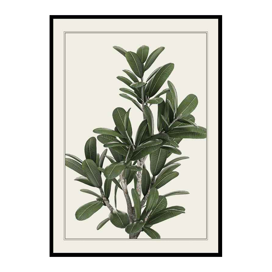 Poster Gallerix Frangipani