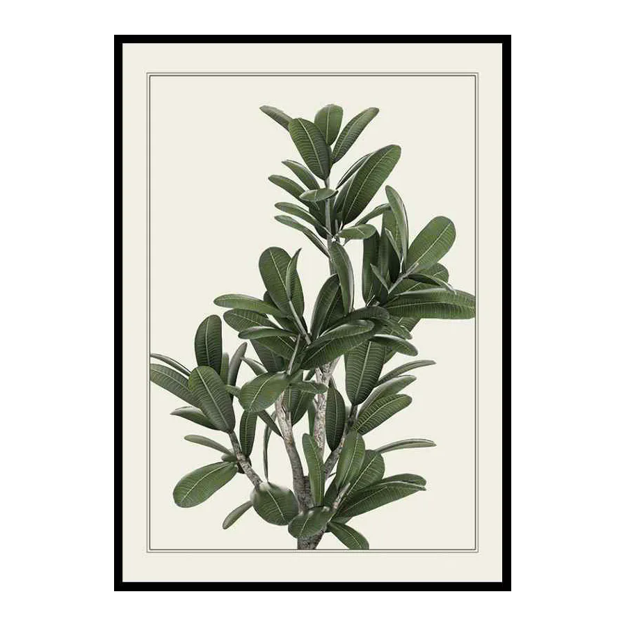 Poster Gallerix Frangipani