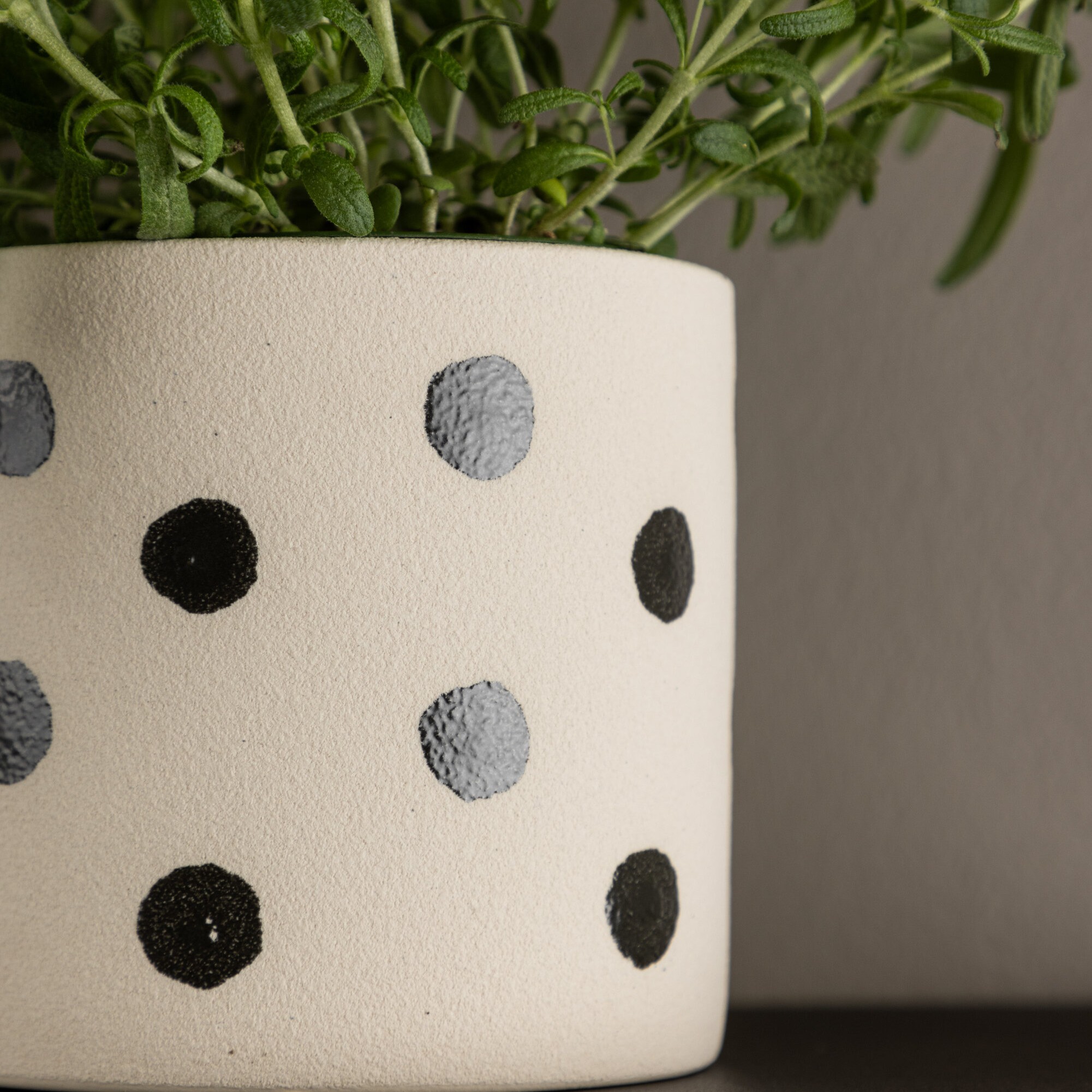 Kruka Venture Home Sane