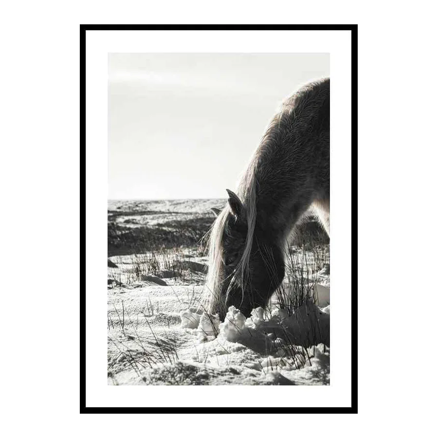 Poster Gallerix Winter Horse