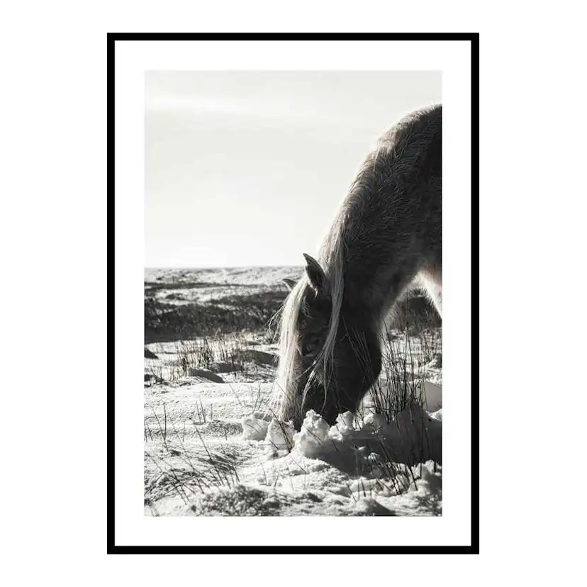 Poster Gallerix Winter Horse