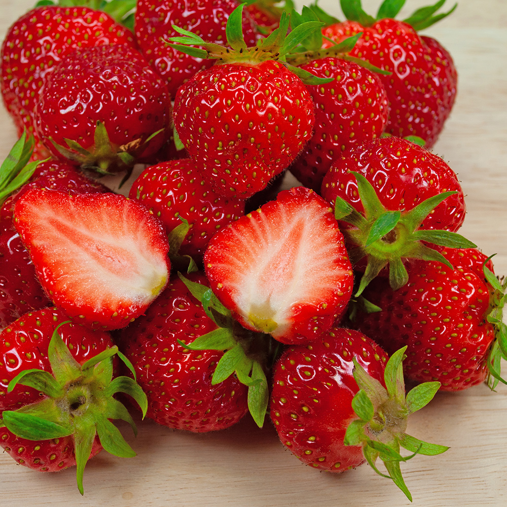 Jordgubbe Omnia Garden Fragaria Ananassa Sengana