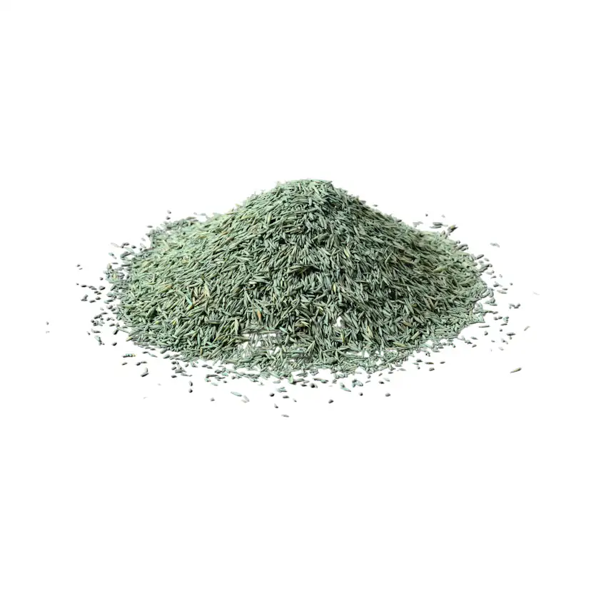 Gräsfrö Xeed Glänsa 5 kg