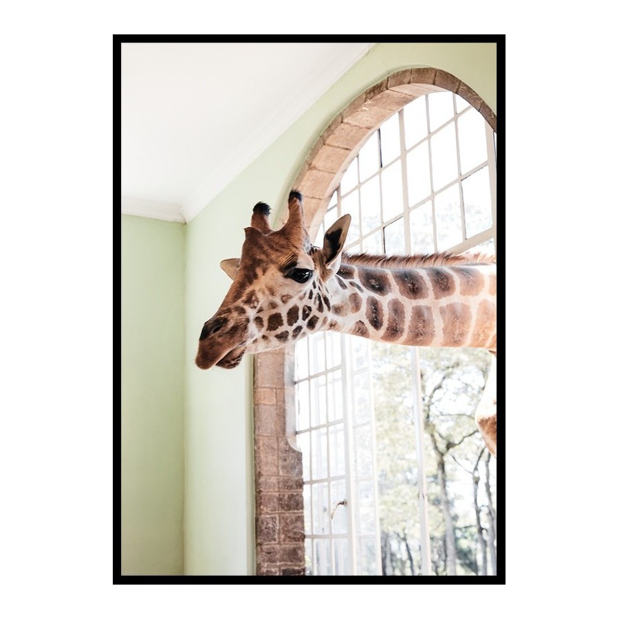 Poster Gallerix Giraffe Through Window