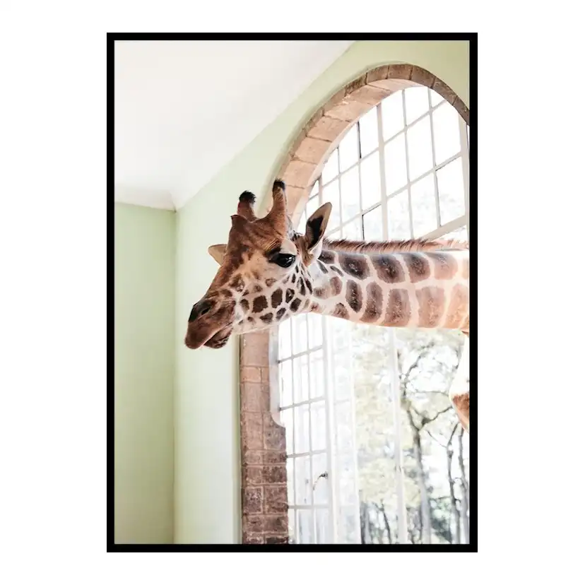 Poster Gallerix Giraffe Through Window