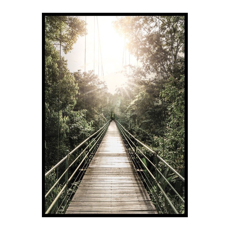 Poster Gallerix Hanging Bridge In Costa Rica