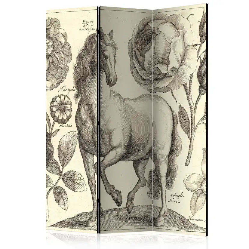 Rumsavdelare Skärmvägg Arkiio Horse 135x172 cm