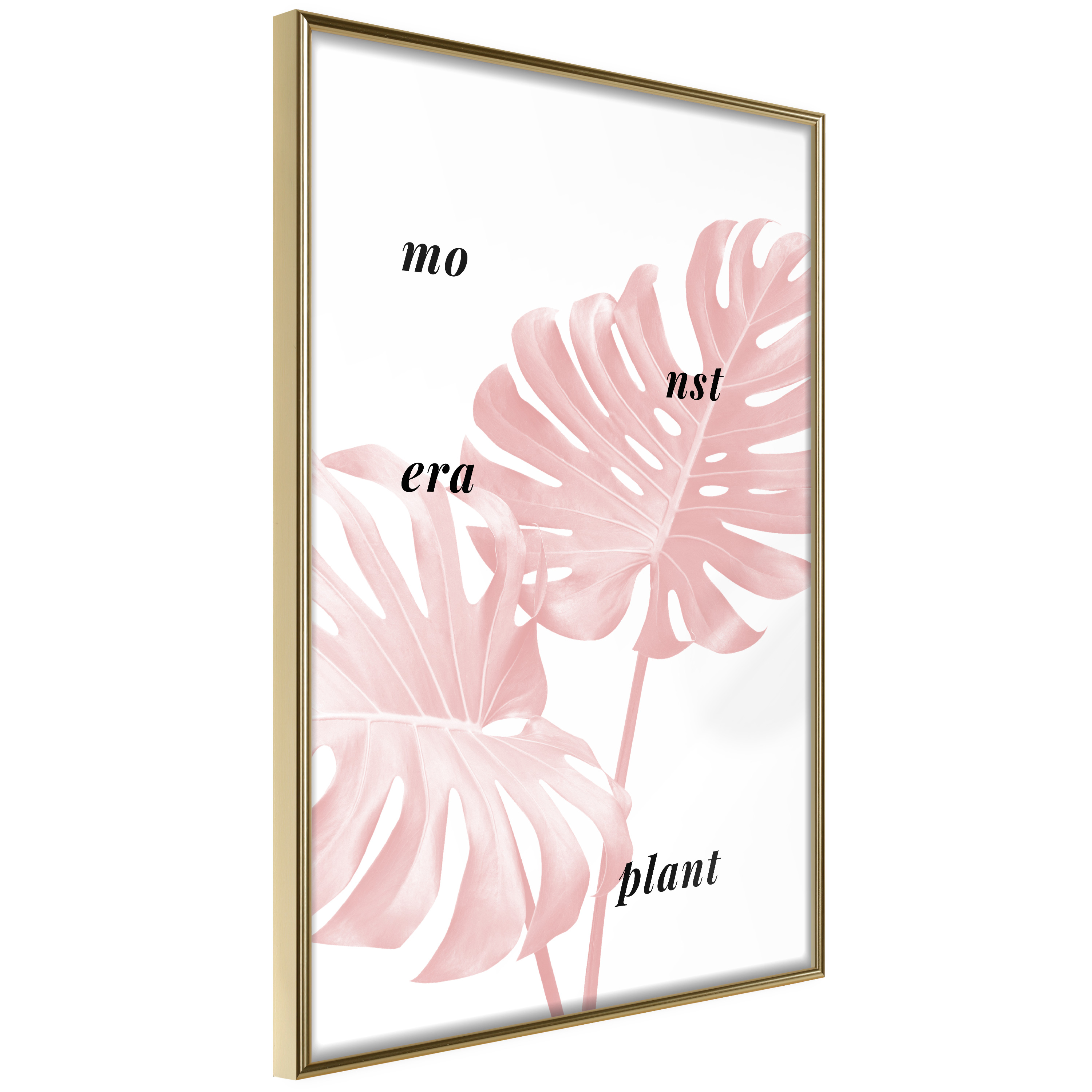 Poster Artgeist Affisch Monstera Plant