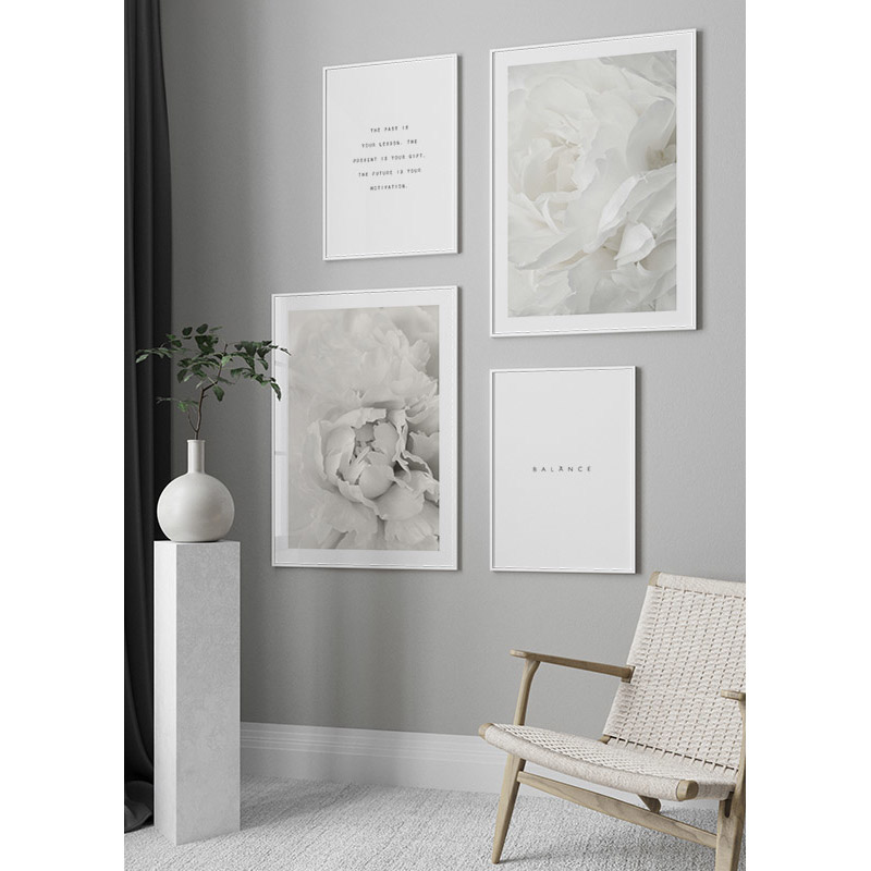 Poster Gallerix White Rose No1