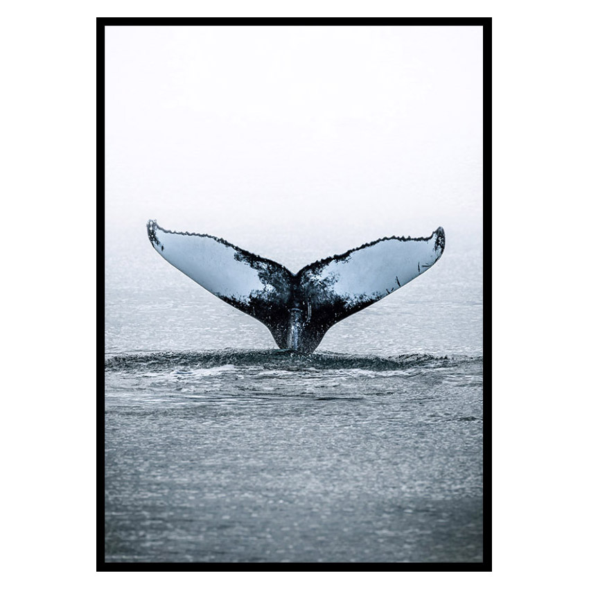 Poster Gallerix Humpback Whale