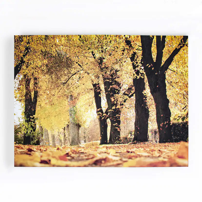 Canvastavlor Art for the Home Höst 100x75 cm