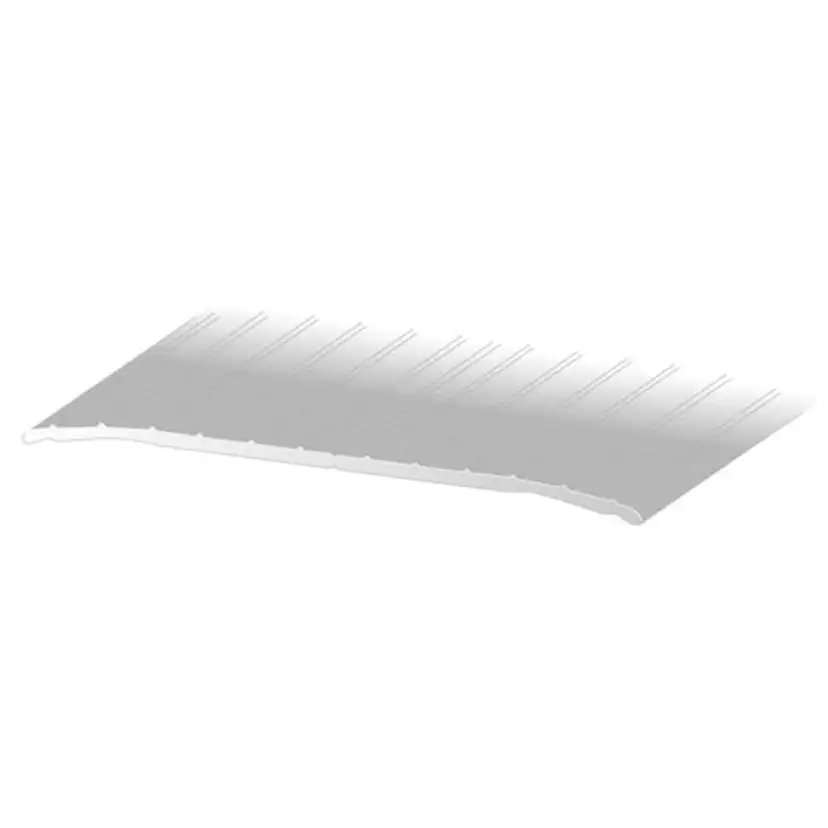 Tröskel aluminium silver 1000x100 LxB 1000x100 mm