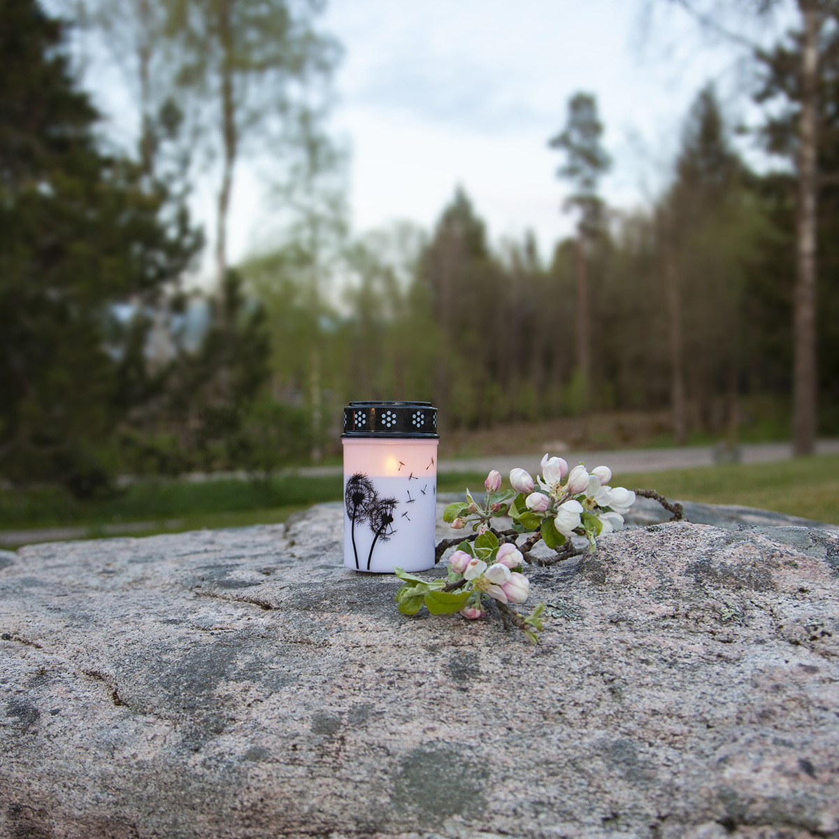 LED-Gravljus Star Trading Dandelion Outdoor