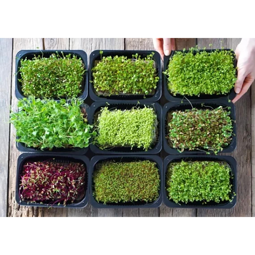 Odlingsmatta Turfquick Basilika