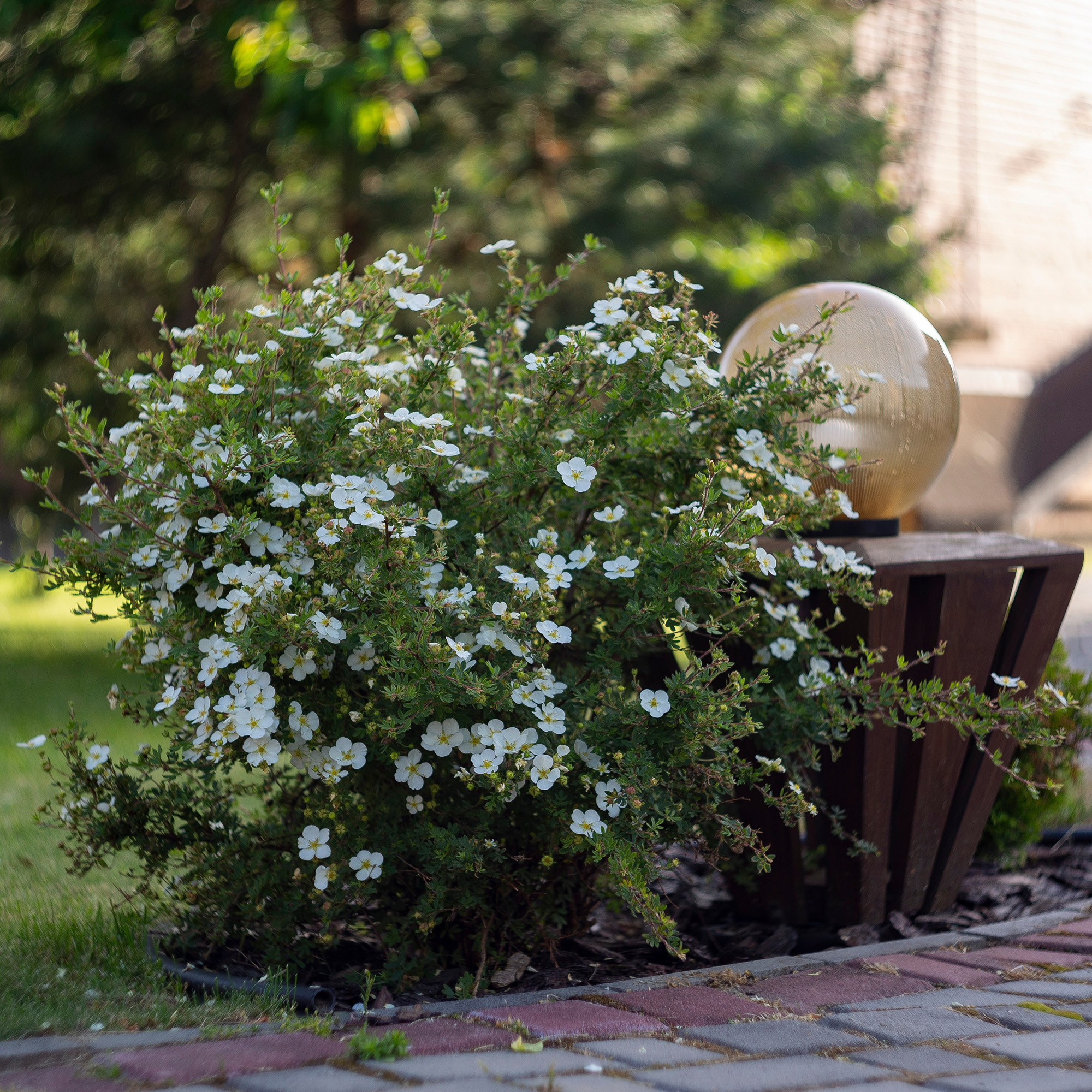 Buske Omnia Garden Trädgårdstok Sandved 20-40 cm