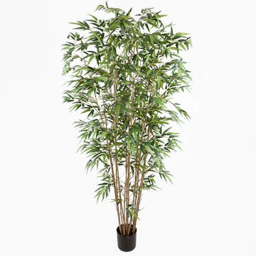 Konstväxt Mr Plant Bambu