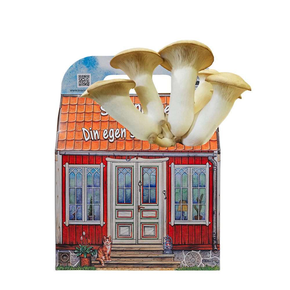 Svamphus Omnia Garden Kungsmussling