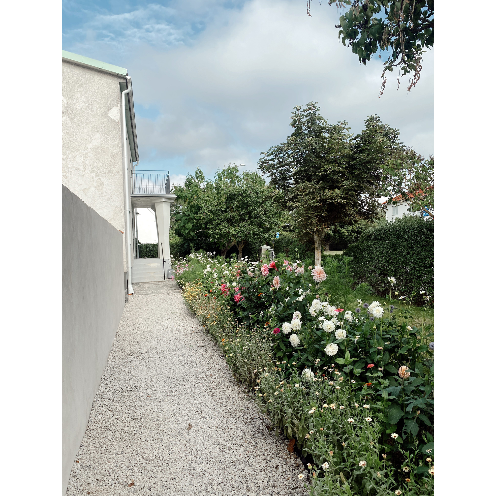 Rabattkant Jabo Rak 2000x290 mm