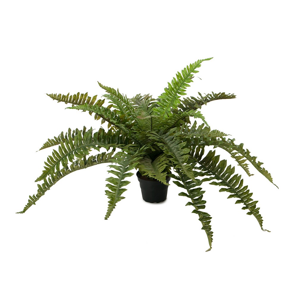 Konstväxt Fröken Fräken Ormbunke 35 cm Grön