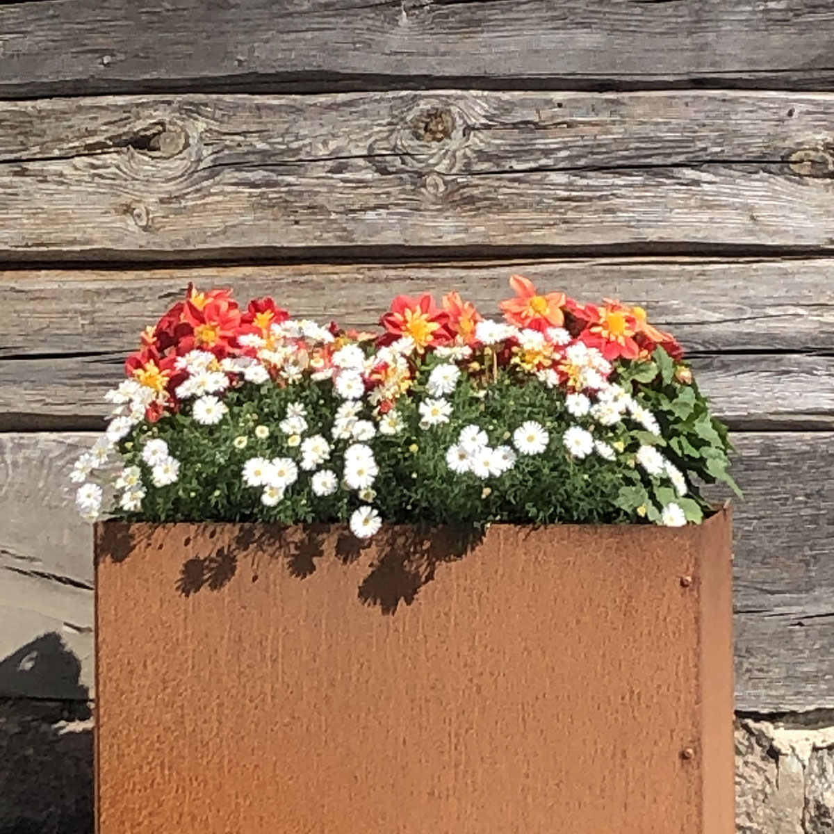 Ytterkruka Flexigarden Corten