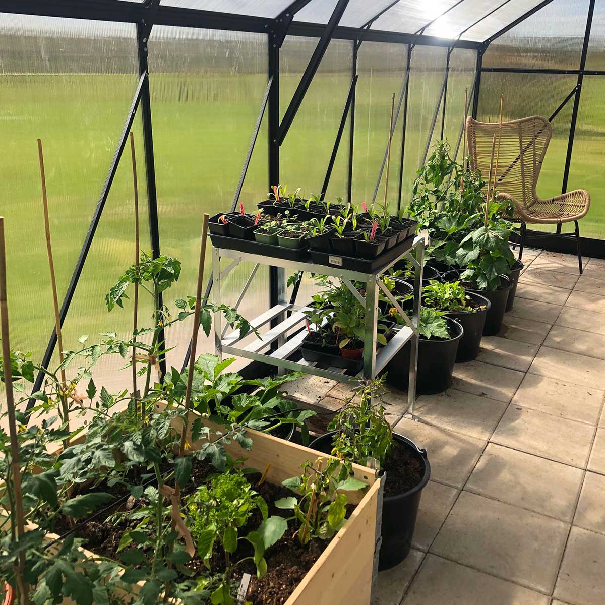 Växthus Metalcraft 18 kvm Rektangulär