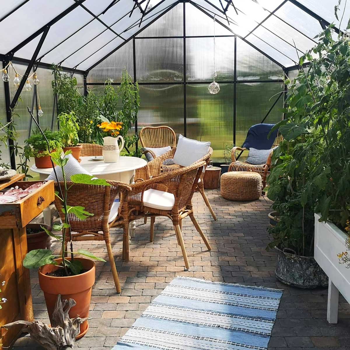 Växthus Metalcraft 18 kvm Rektangulär