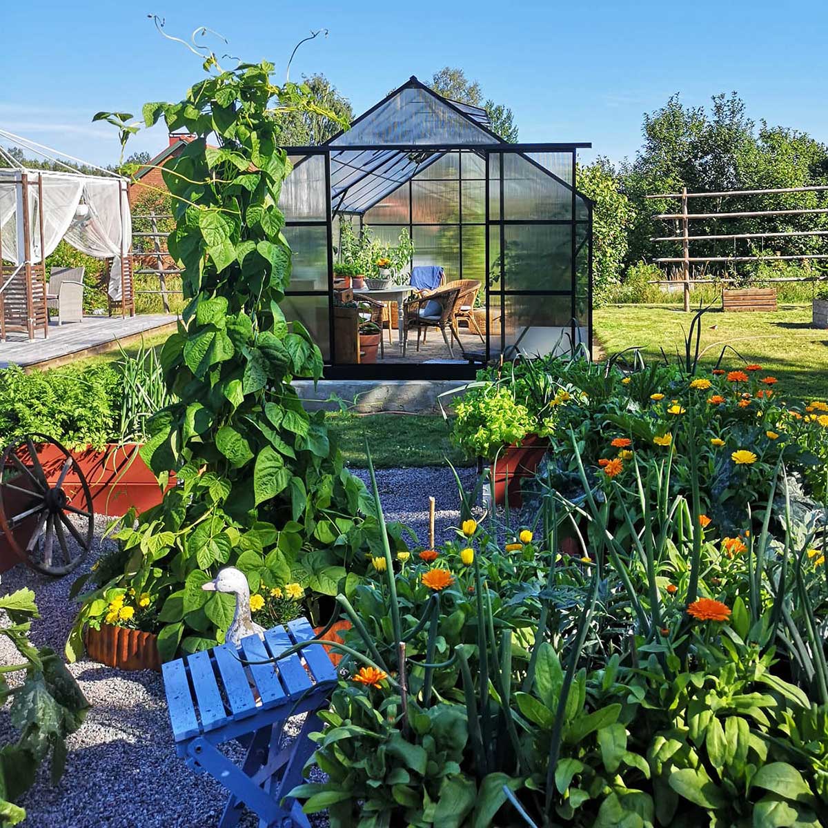 Växthus Metalcraft 18 kvm Rektangulär