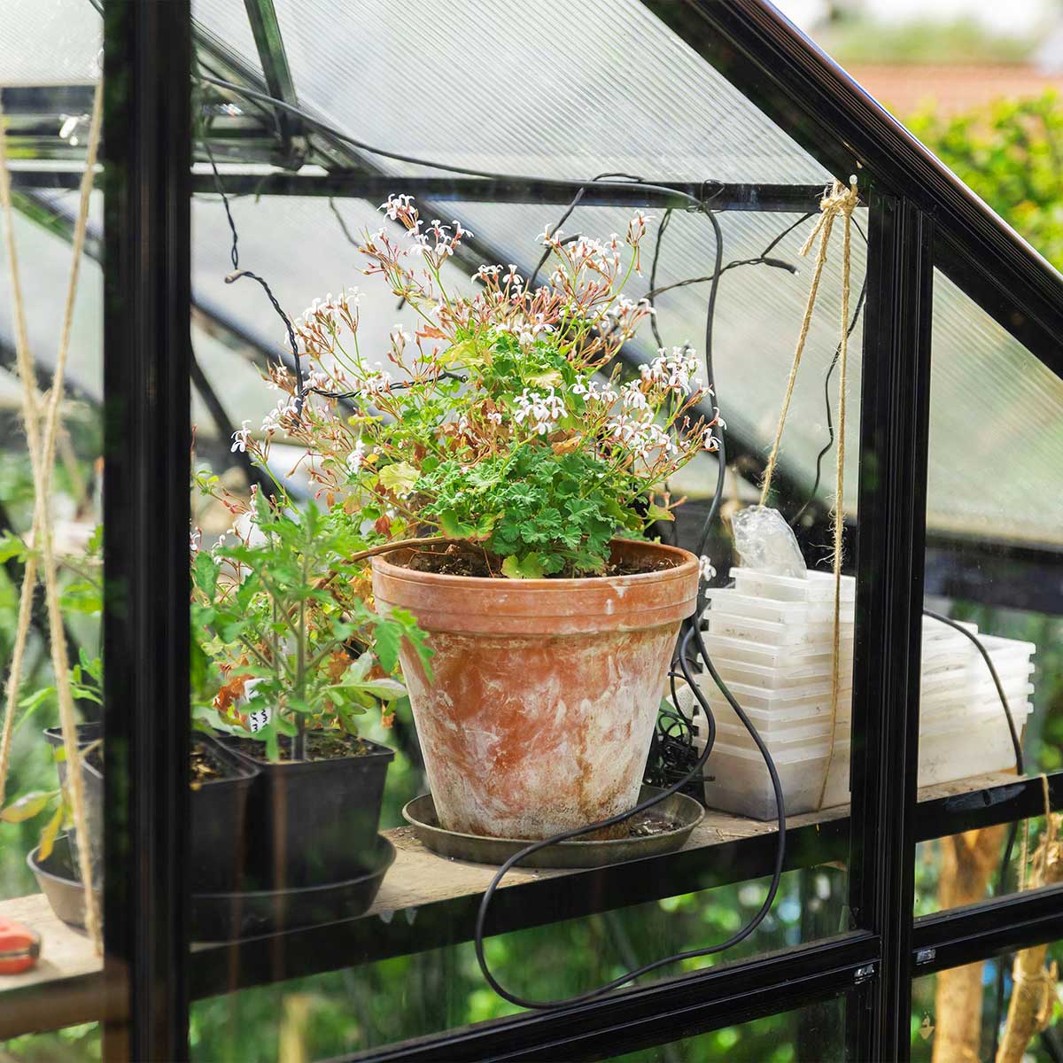 Växthus Metalcraft 11,2 kvm Svart T-format